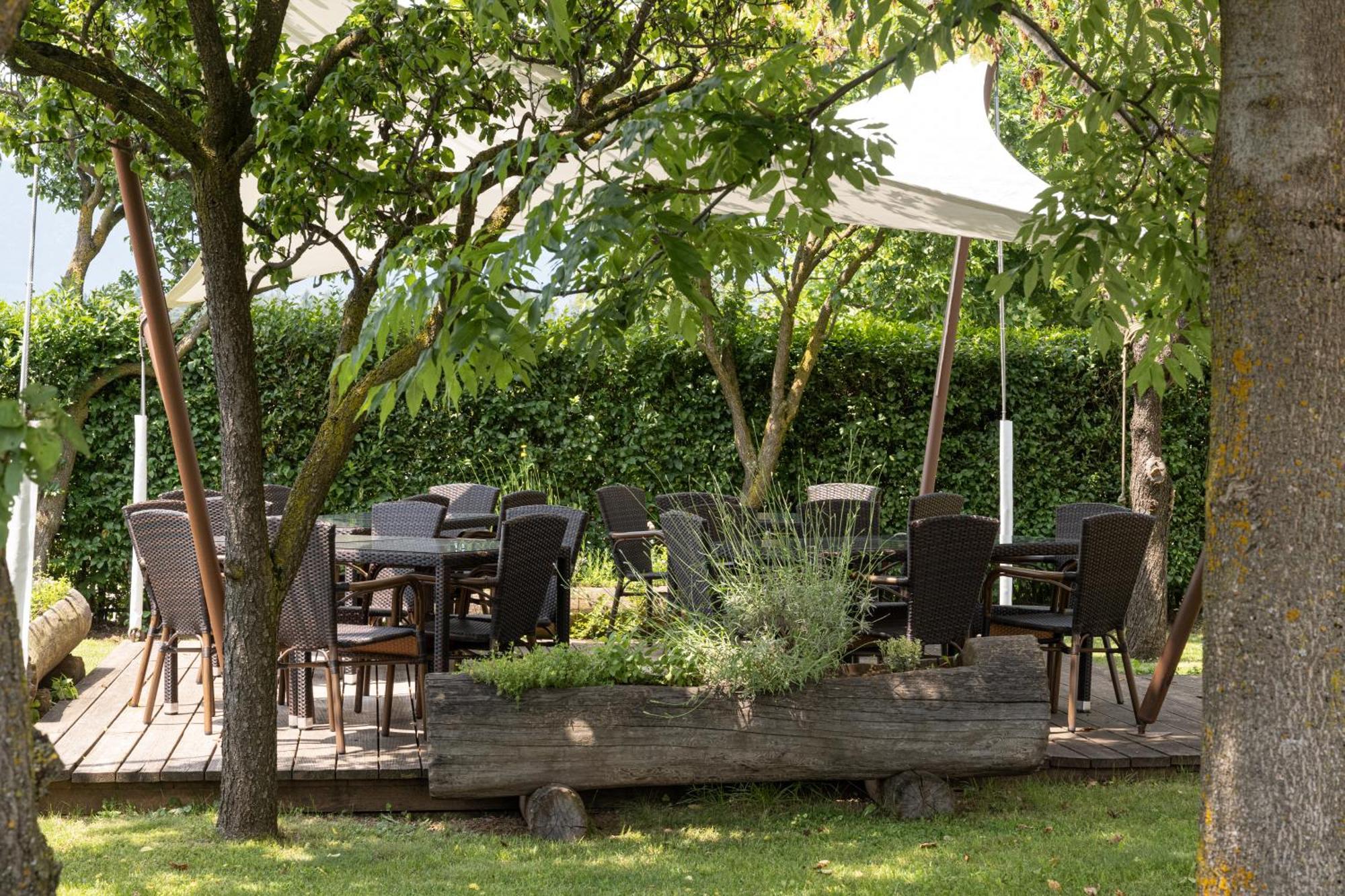 Piccolo Orso Bruno Bed & Breakfast กาวาเรโน ภายนอก รูปภาพ